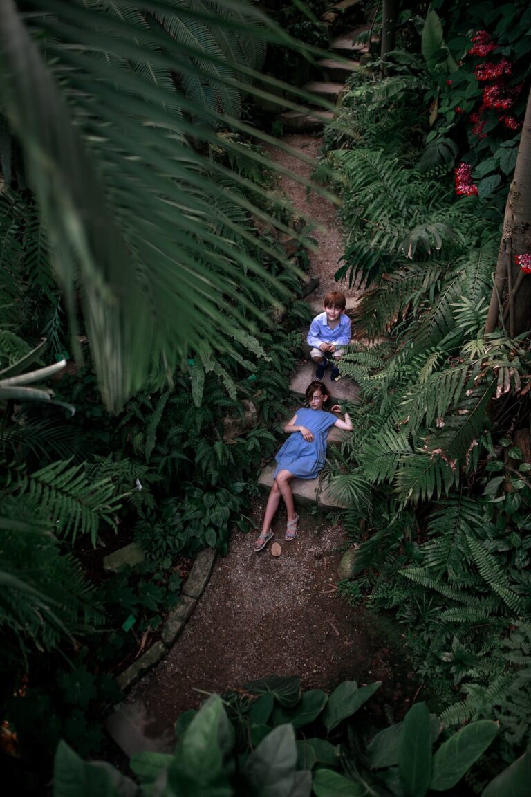 Мальчик и девочка на каменной дорожке среди растений, вид сверху