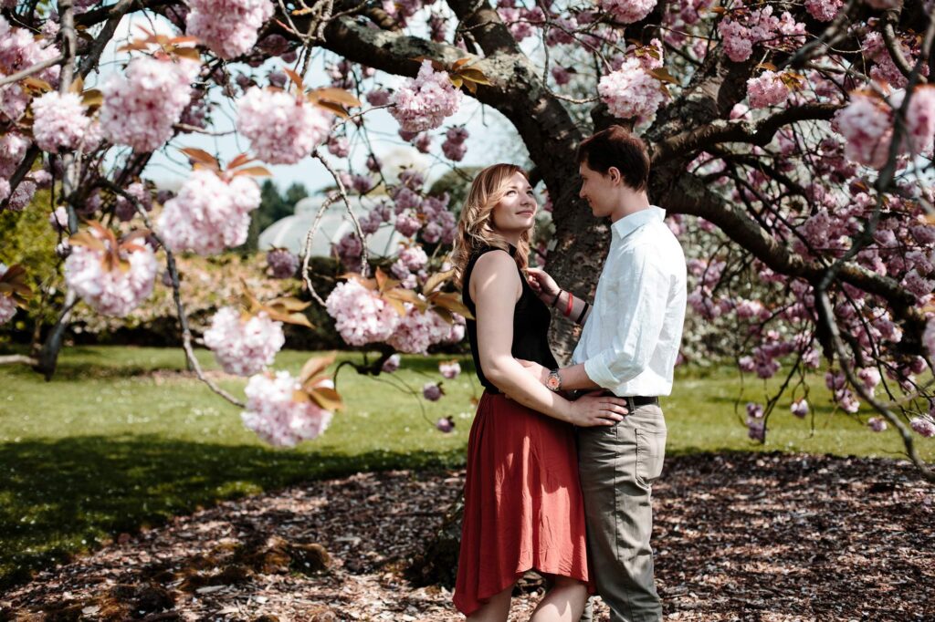 Цветущая романтика под сакурой