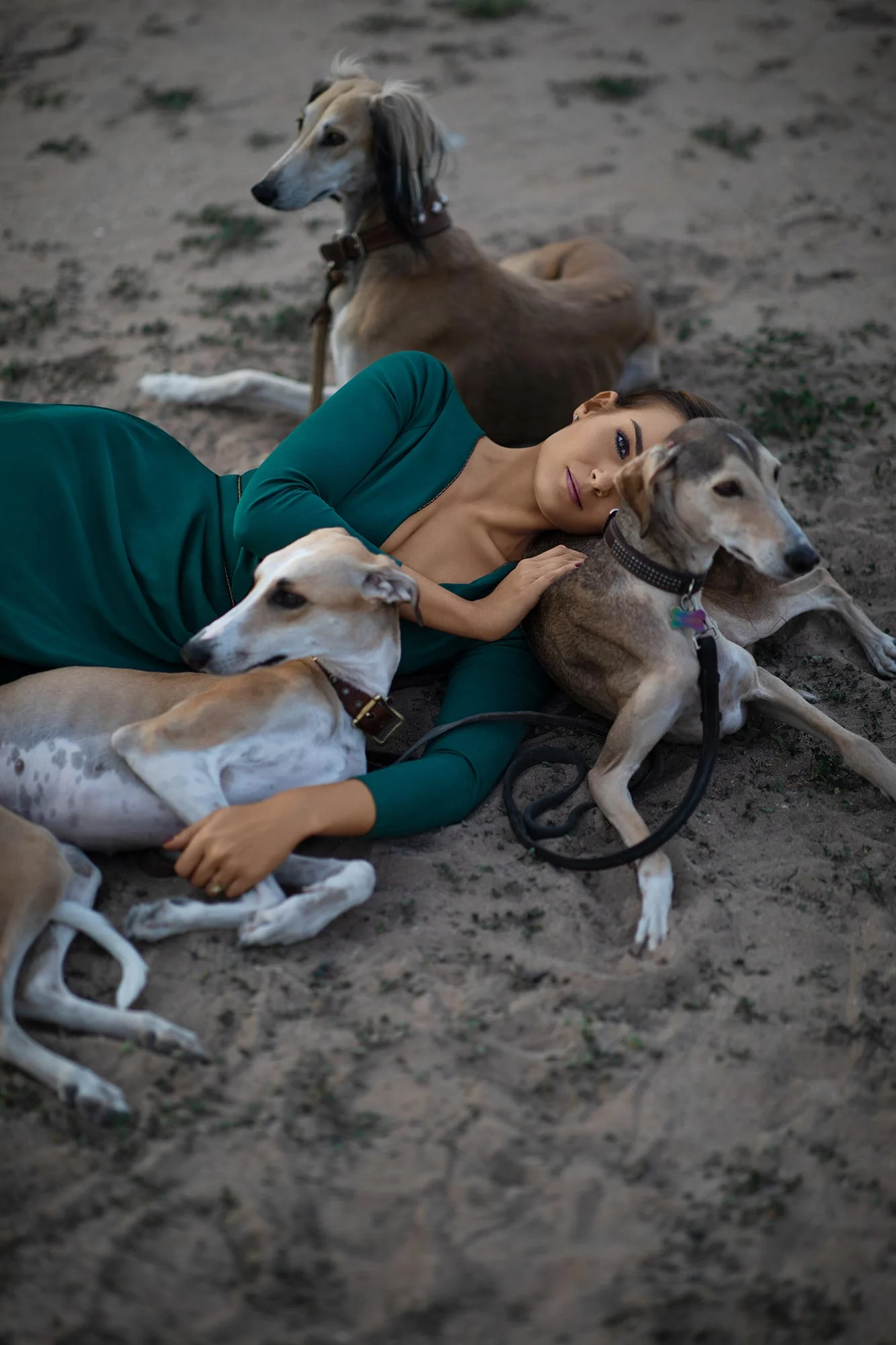 Фотограф в Дубае, фотосессия с собаками, индивидуальная фотосессия с макияжем