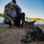 Фотосессия с котом