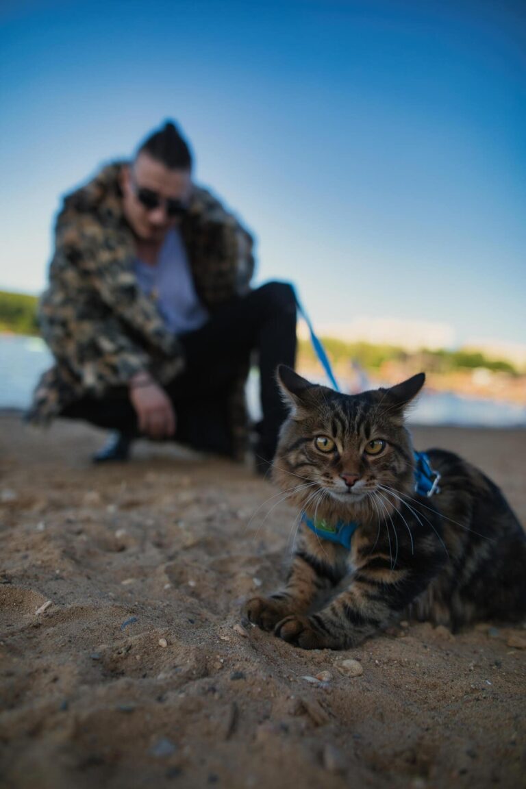 Фотосессия с котом