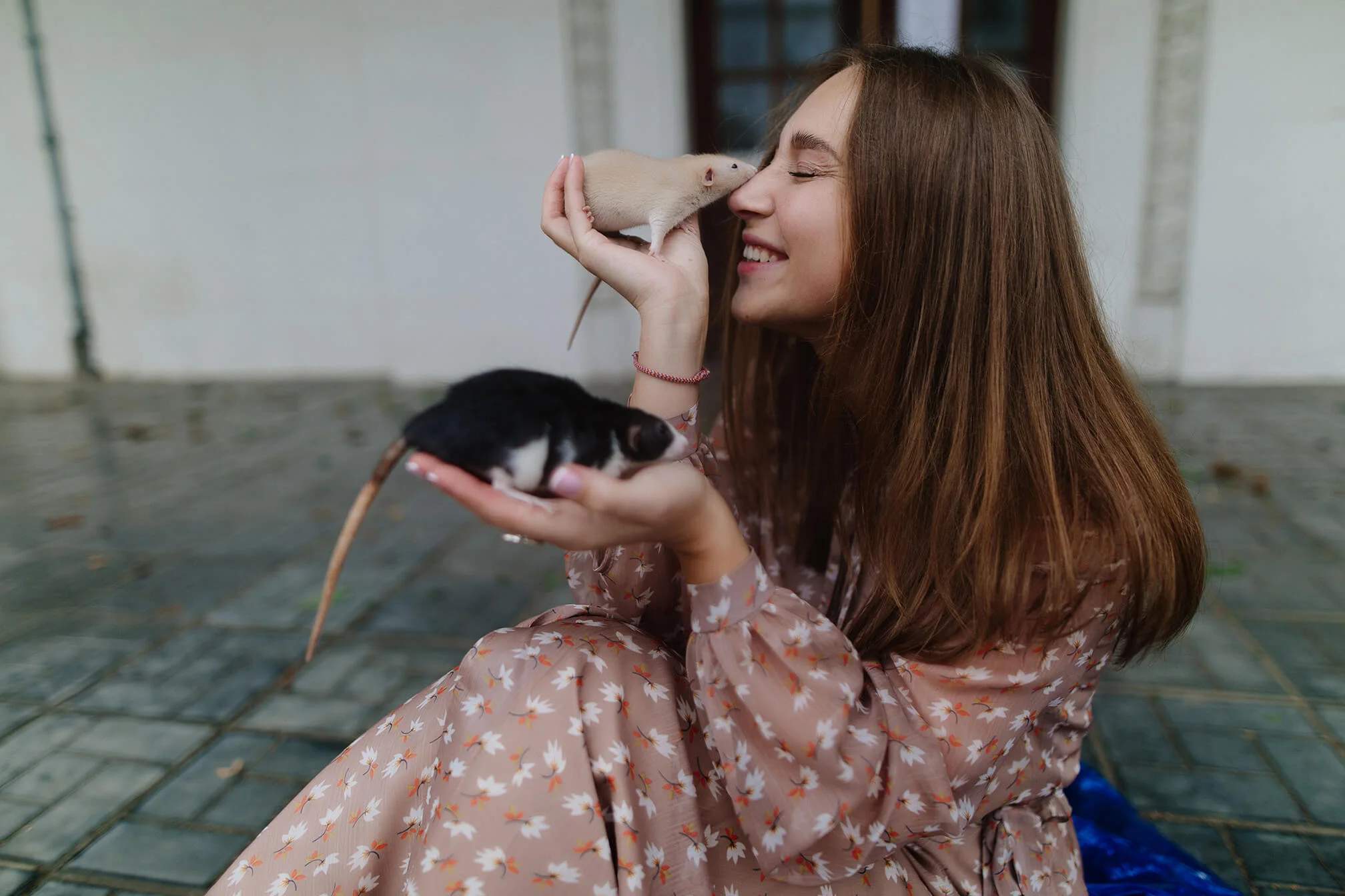 Фотосессия с крысами