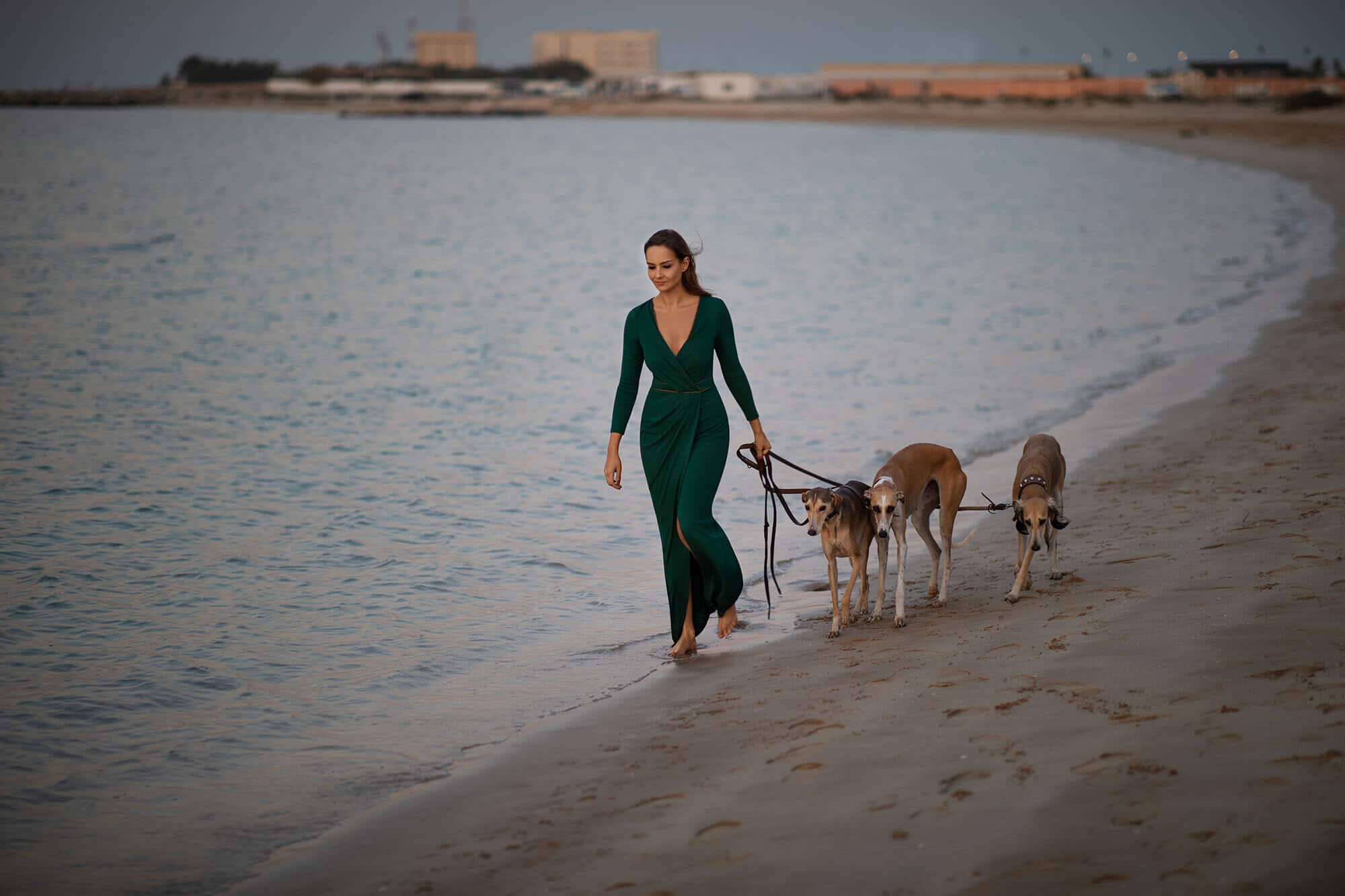 Фотограф Дубай, фотосессия с животными