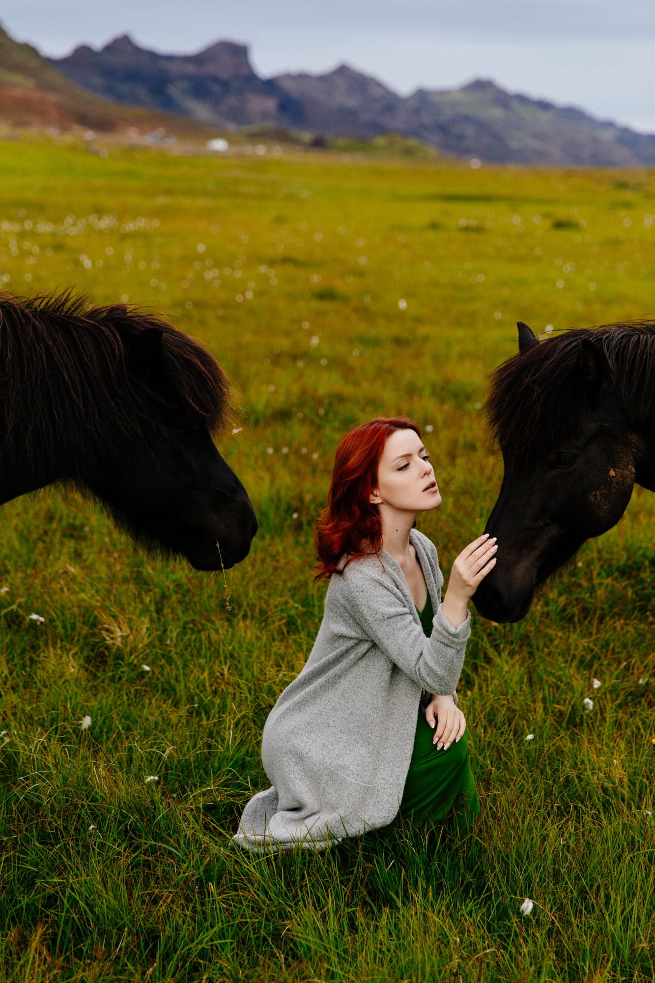 Фотосессия с лошадьми в Исландии
