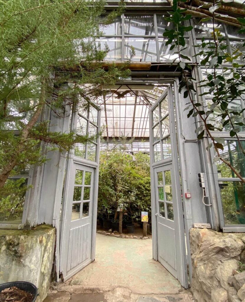 Главный ботанический сад