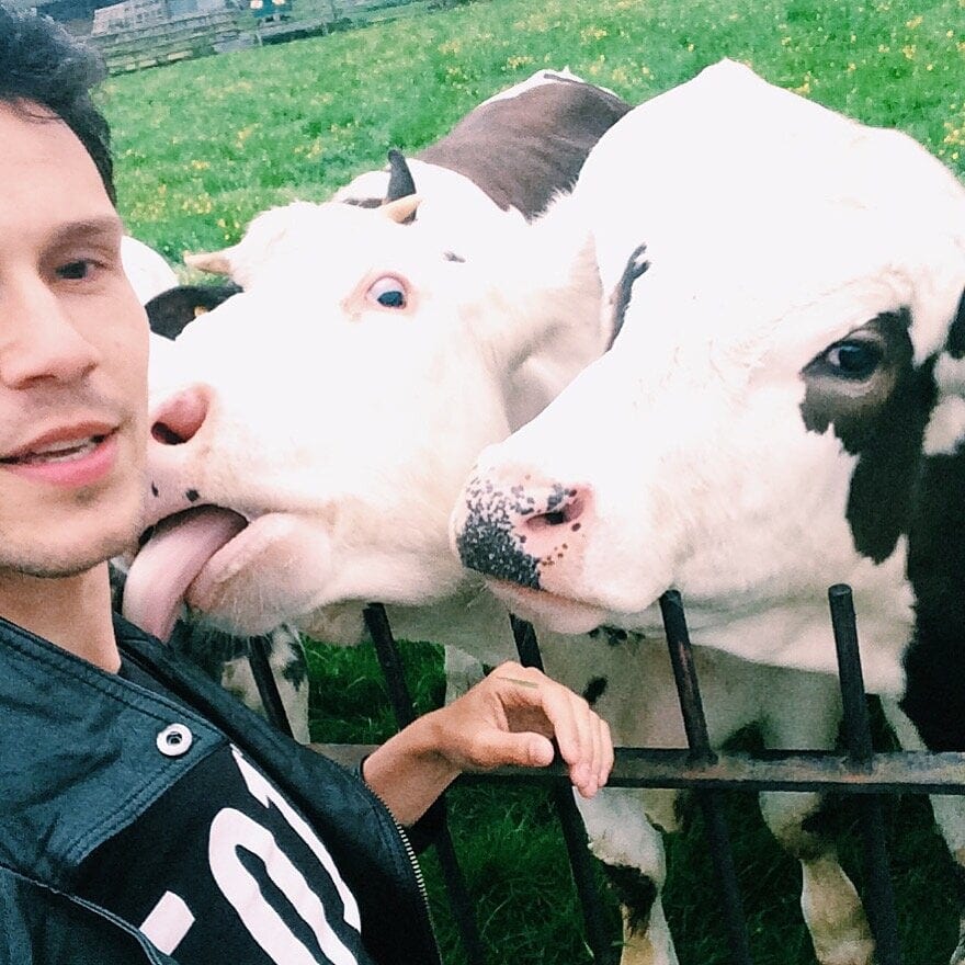 Фотограф Олег Багмуцкий, автопортрет с коровами